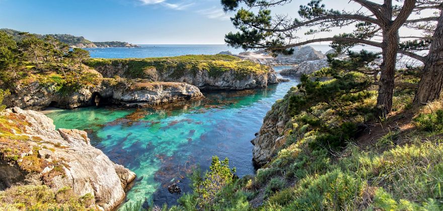 pair of Monterey pines tower above China Cove at Point Lobos State Natural Reserve near Carmel, California