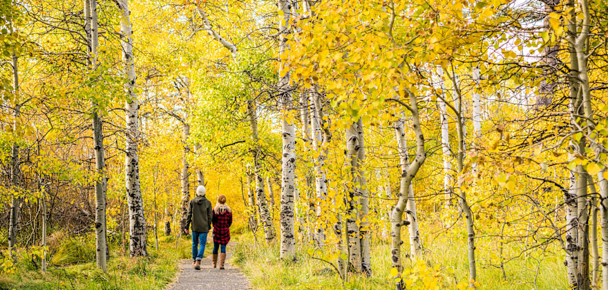 A couple stroll Taylor Creek Loop in South Lake Tahoe, California.