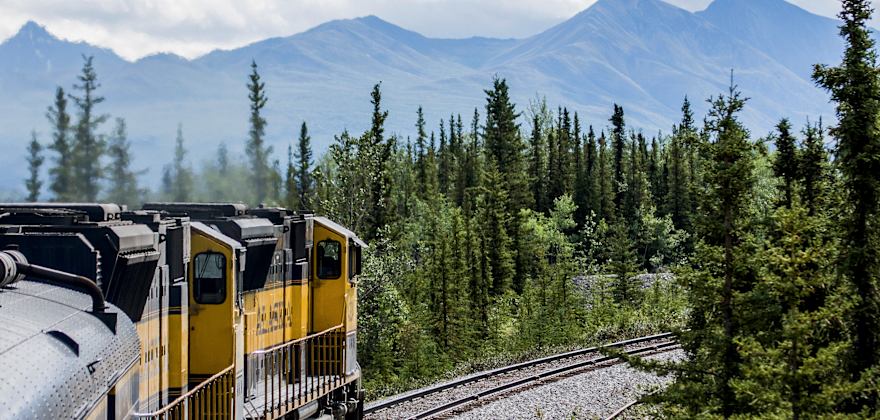 The Alaska railroad passes through spruce forest near Denali National Park.