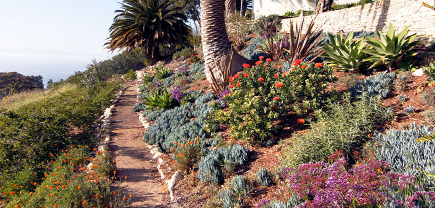 A sustainable garden can still be beautiful and eye-catching.