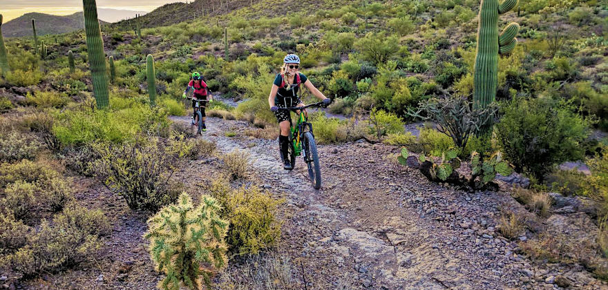 Two mountain bikers ride on the Starr Pass trail in Tucson Mountain Park, Arizona.