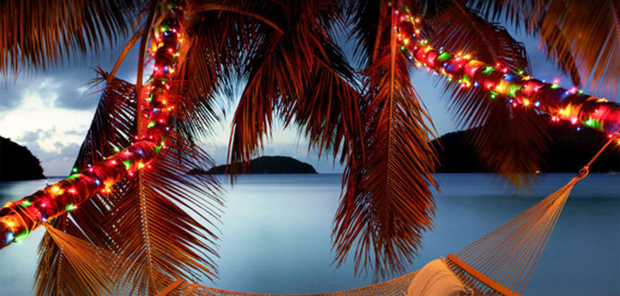 beachside hammock with holiday lights