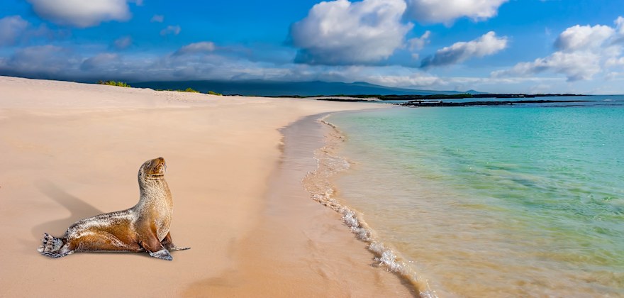 galapagos