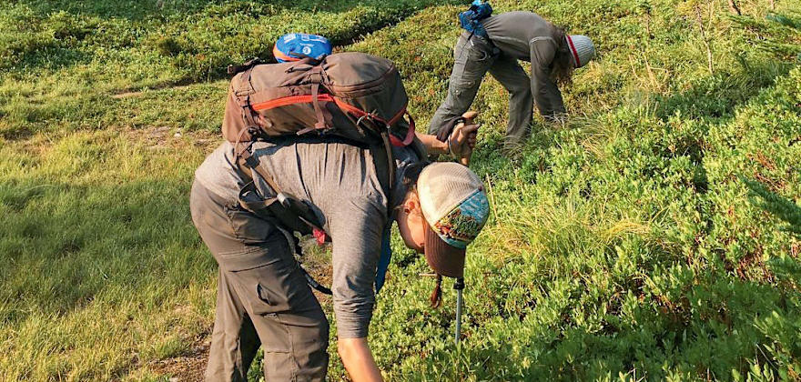 Berry picking near Oregon's Mount Hood.