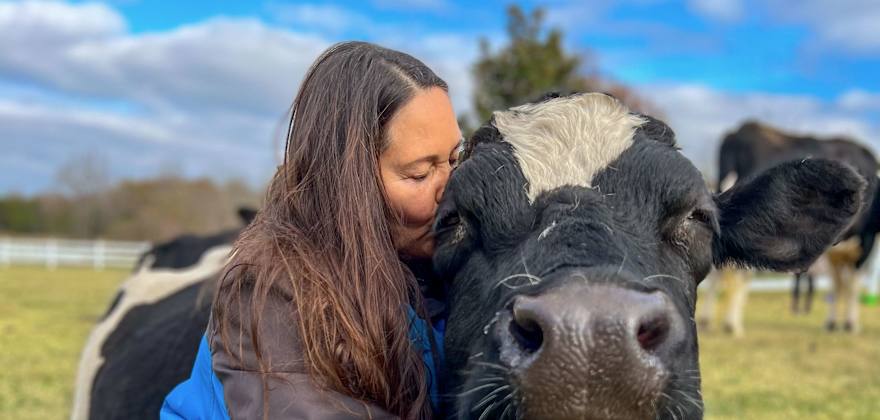 Founder, Ellie, with cow, Maybelle, at the Gentle Barn in California.