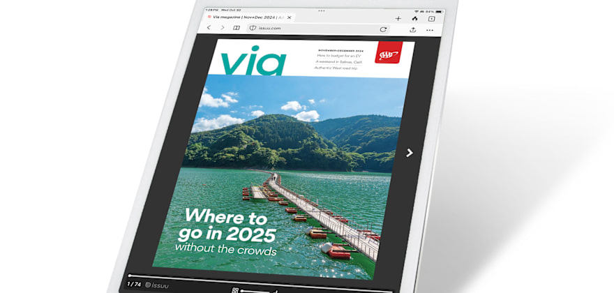 Via Magazine November December 2024 digital magazine cover on a tablet.