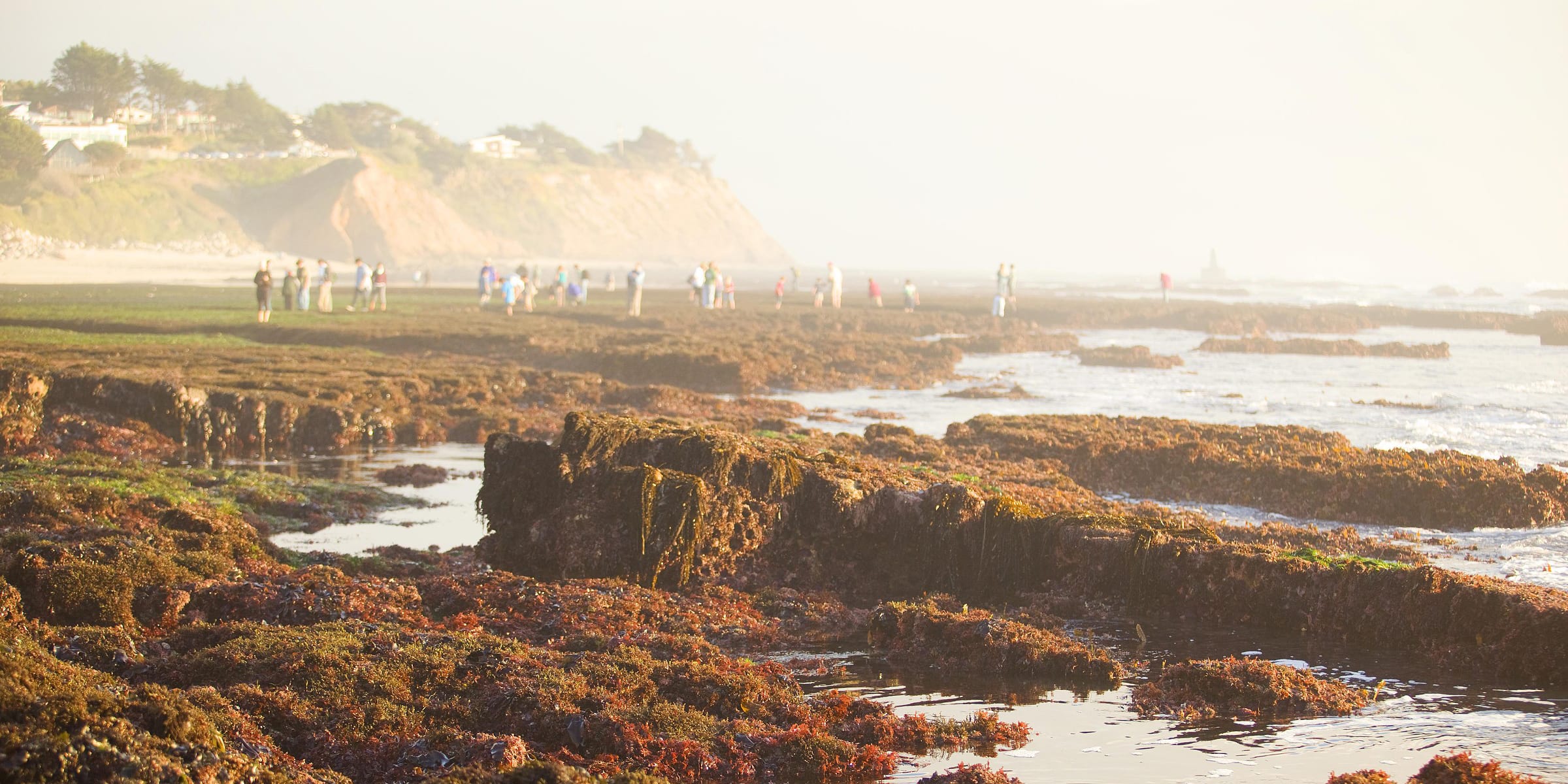 Scenic Outings on the San Mateo County Coast