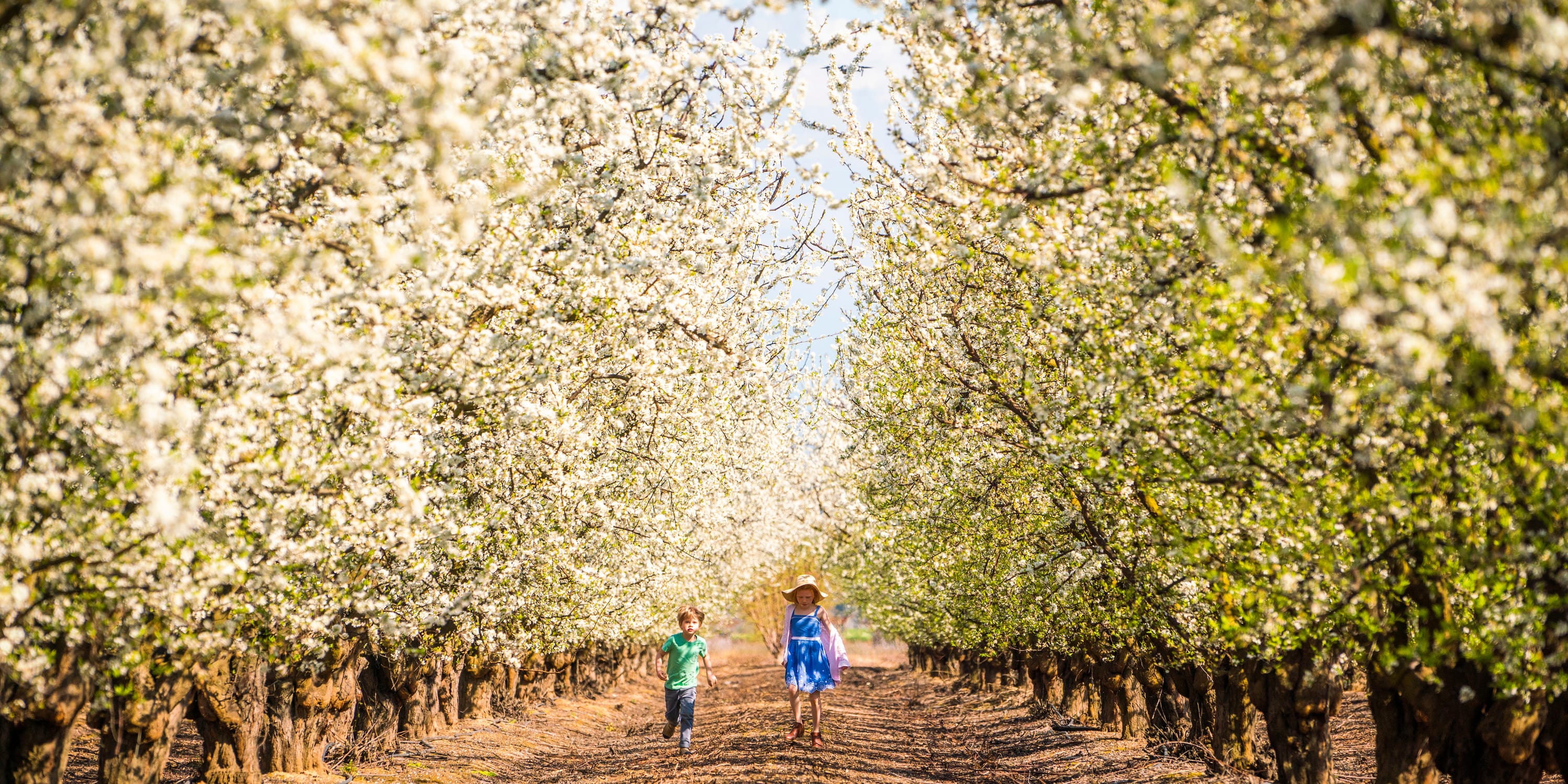 Things to do in Fresno, California | Via