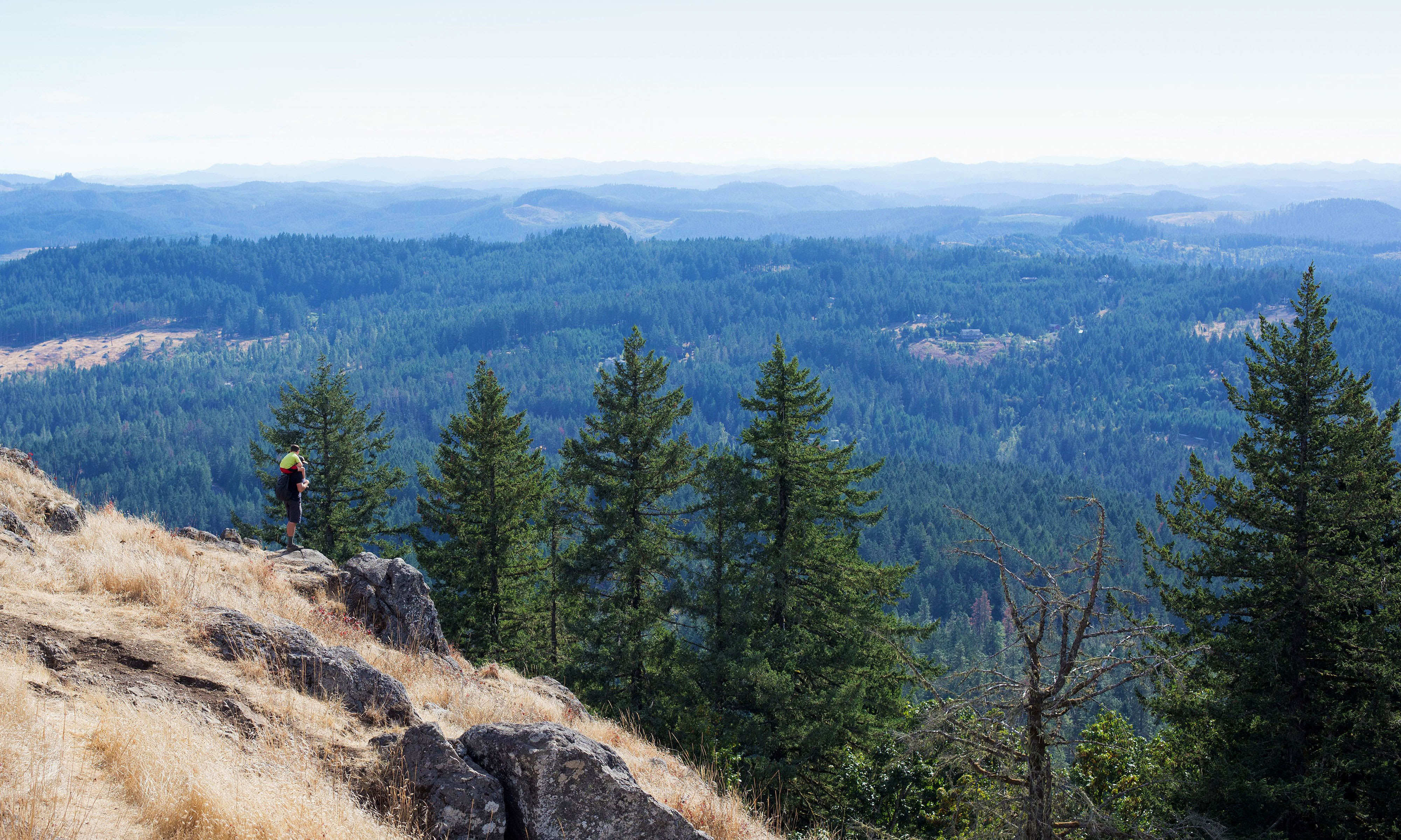 Eugene restaurant solano (76) foto