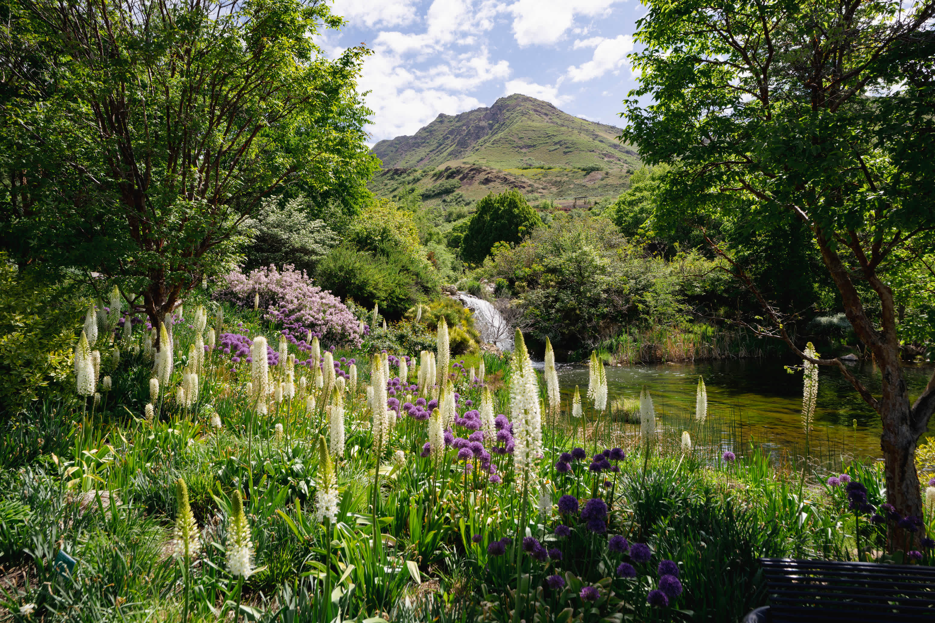 The West's Best Botanical Gardens