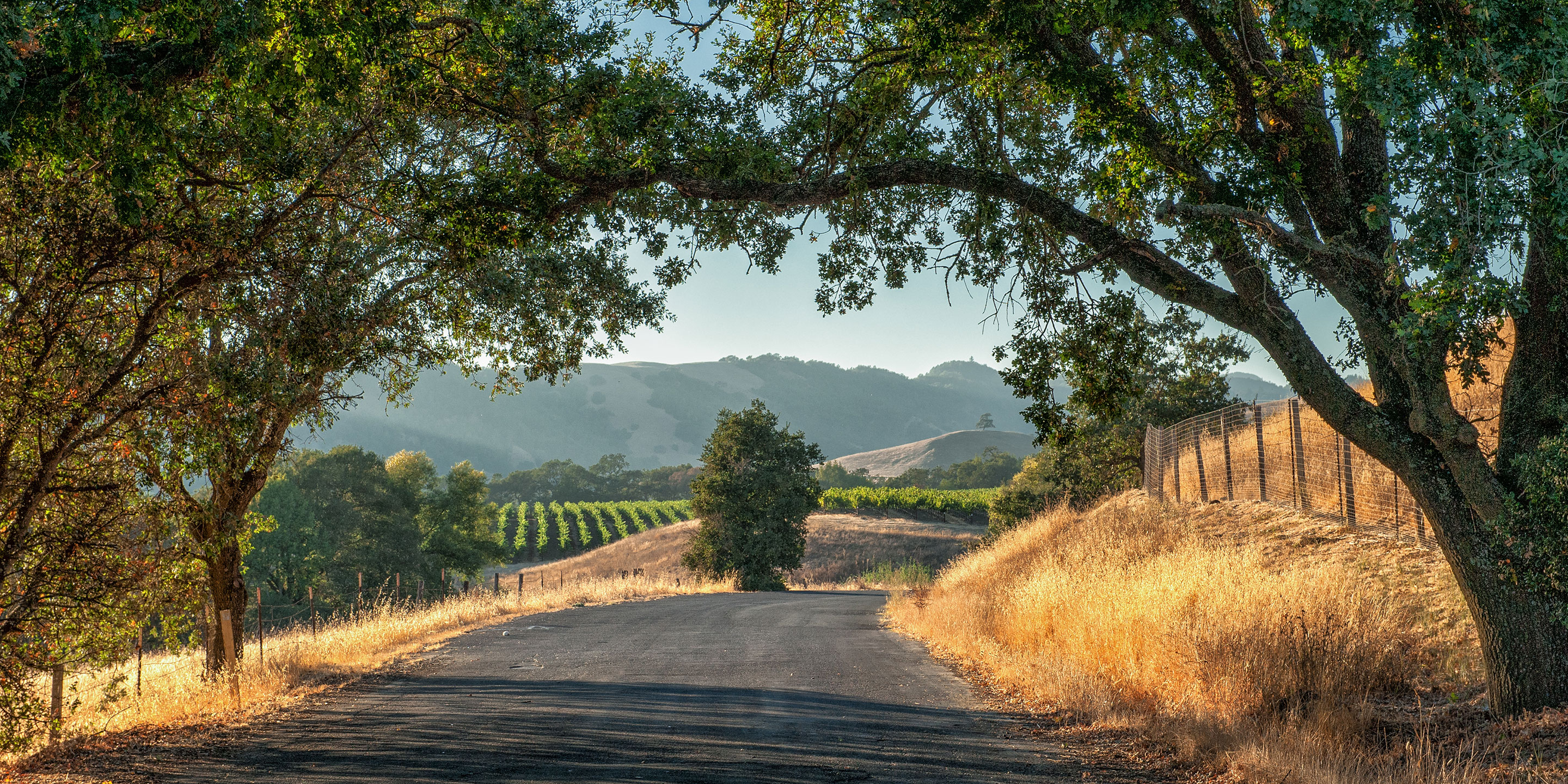 Sonoma to Napa Valley: A guide to road tripping through California's wine  country