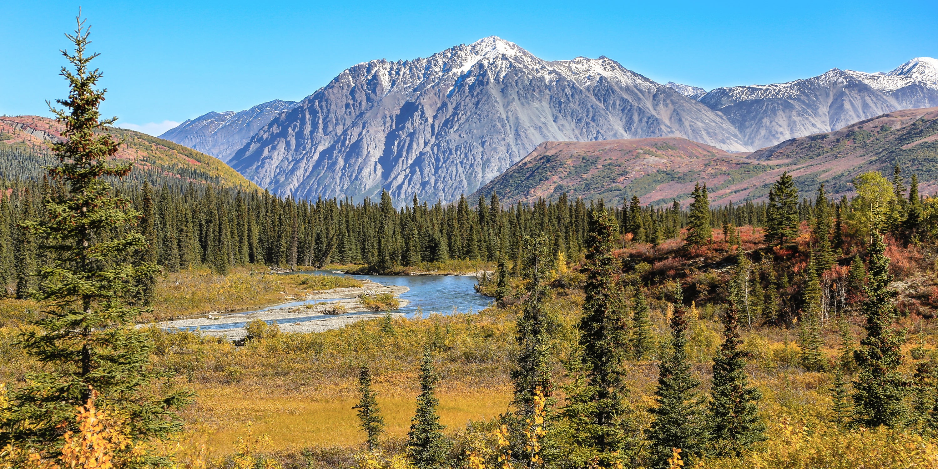 Denali National Park: Trip It or Skip It? - Scenic and Savvy