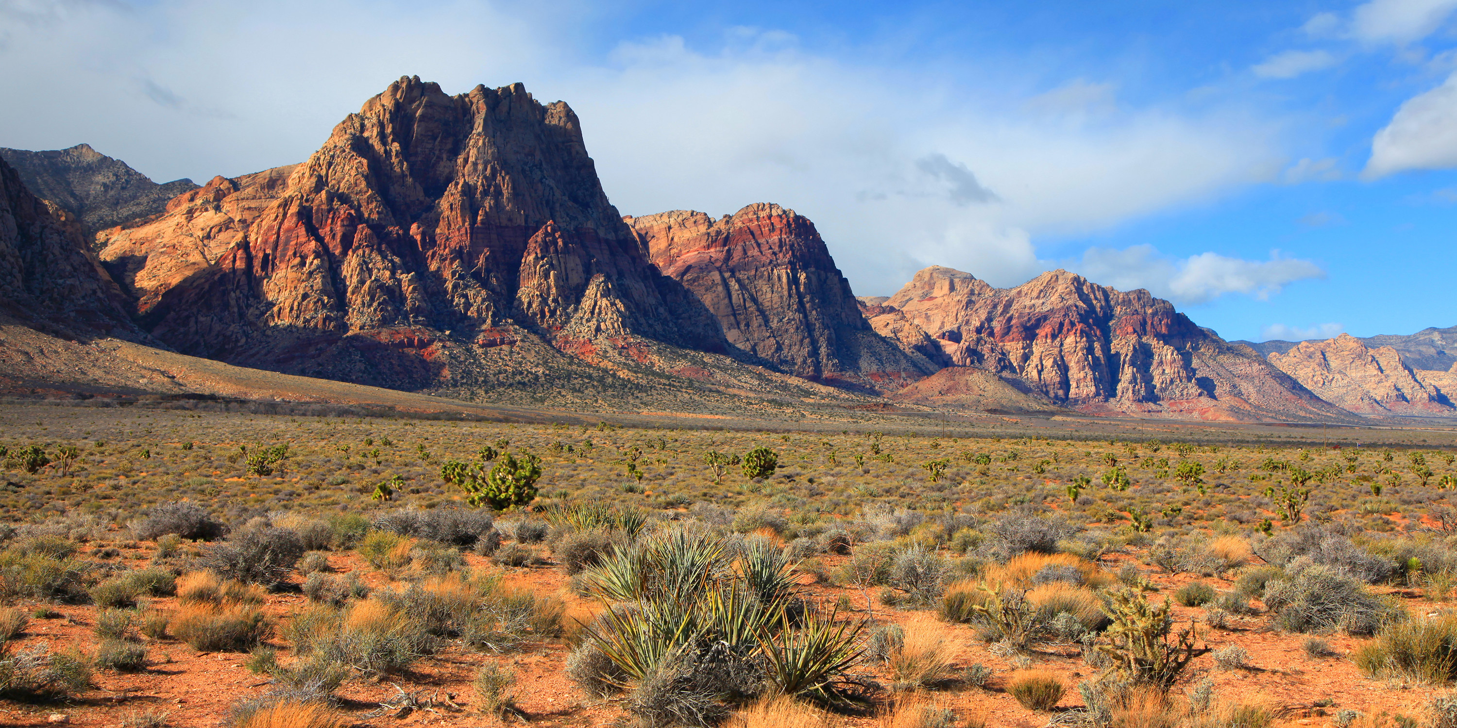 10 Best Hikes and Trails in Red Rock Canyon National Conservation