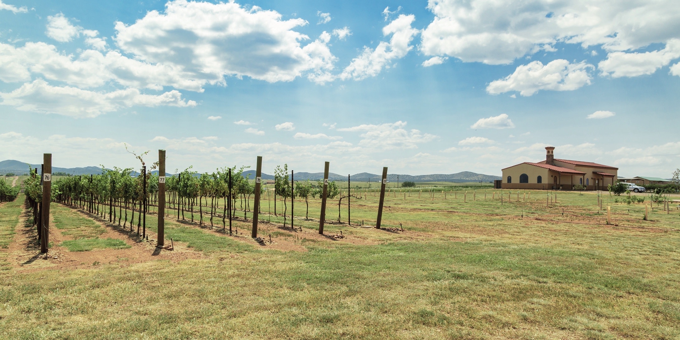 Visiting Arizona Wine Country Via