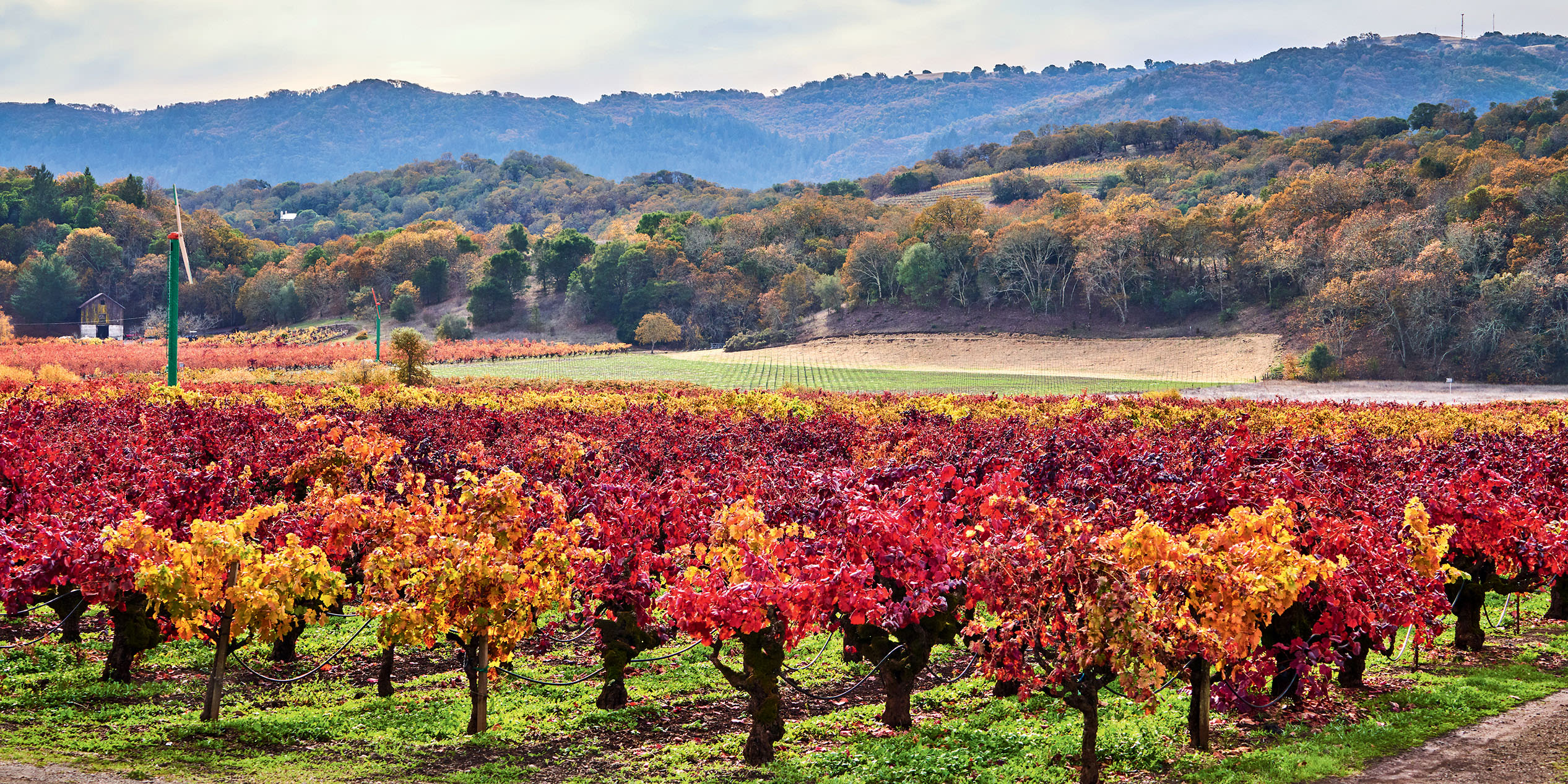 Napa Valley Repair System Company