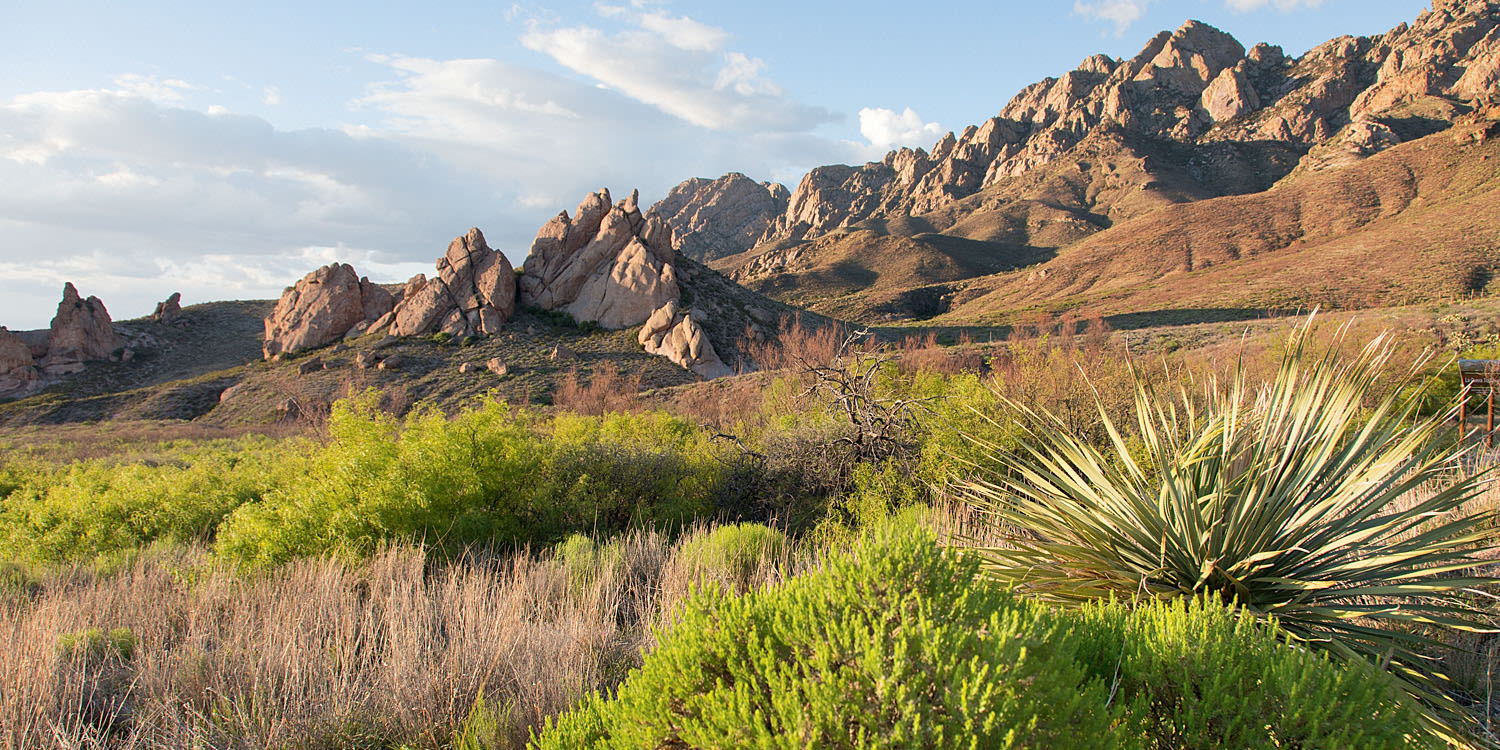 Things to Do in Las Cruces, New Mexico Via