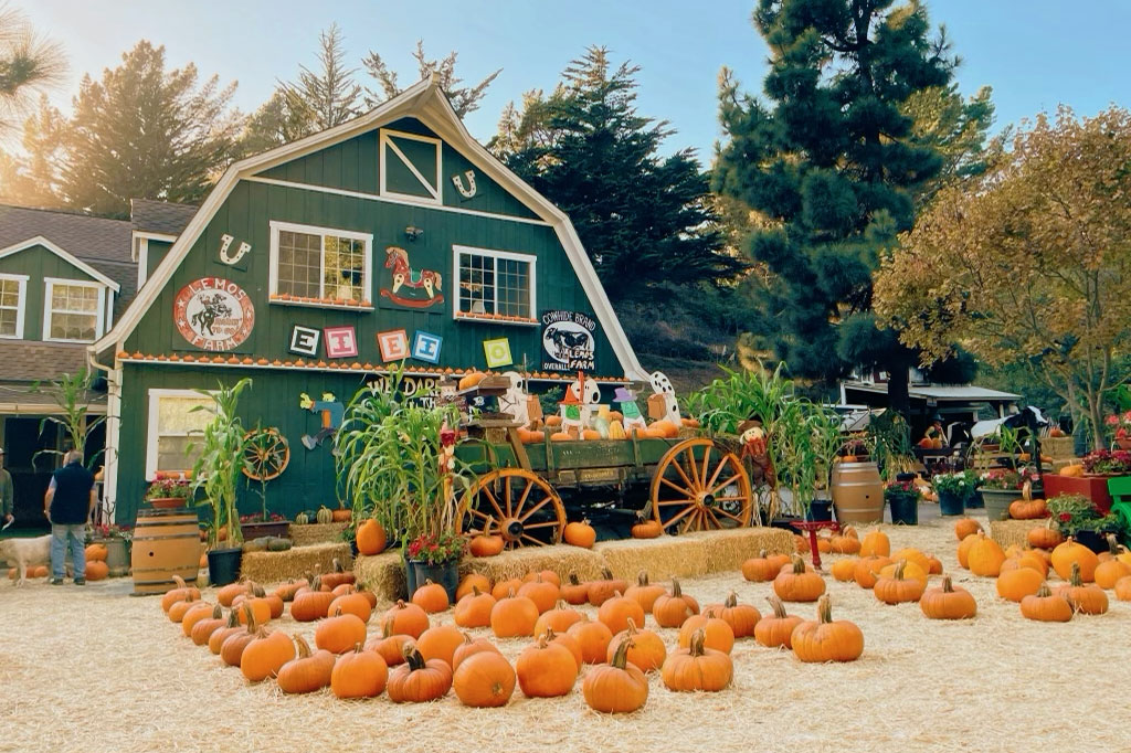 great lakes glass pumpkin patch day