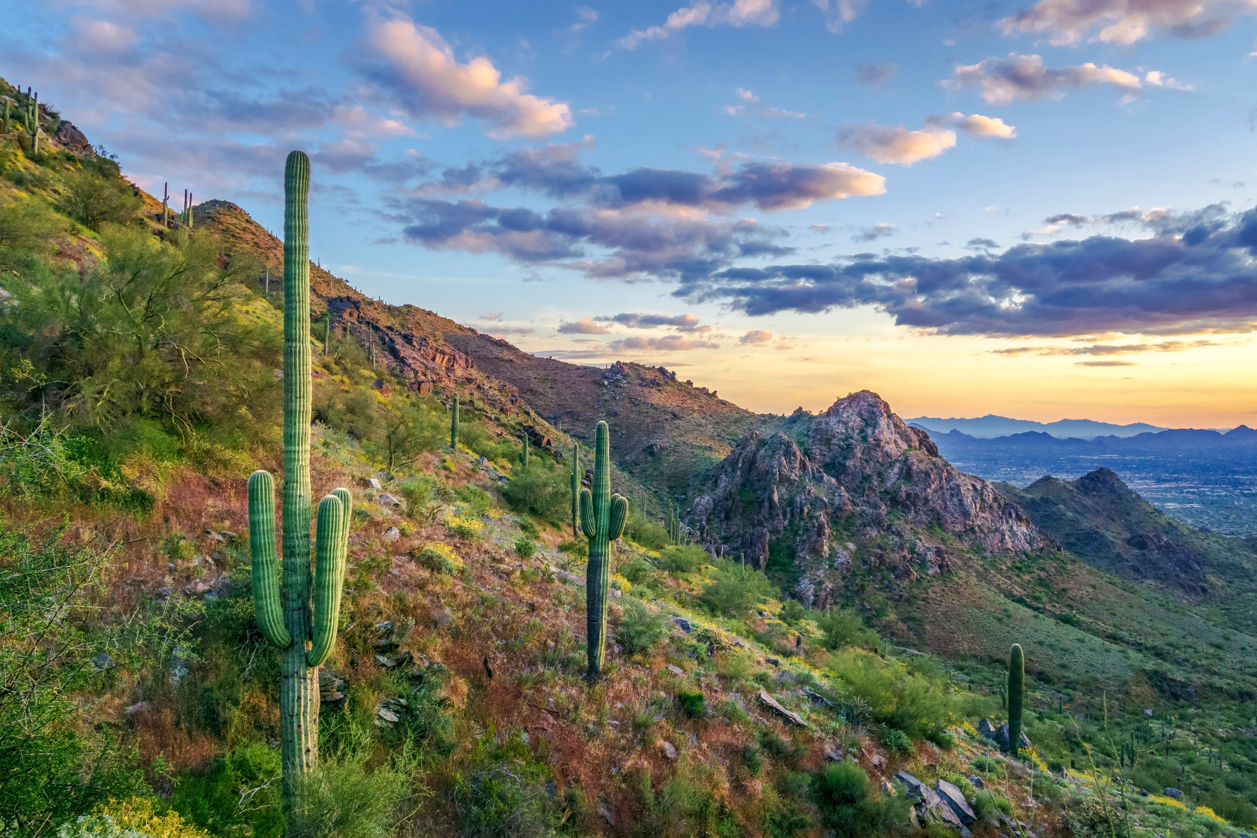 Free Things to Do in Your Favorite Arizona Cities