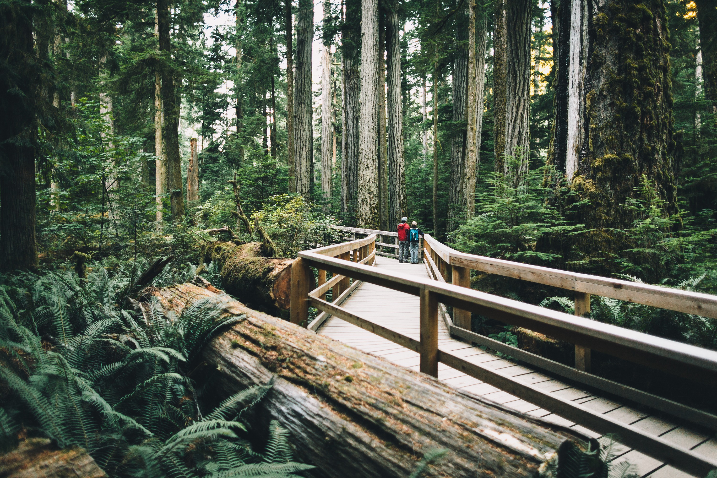 35 BEST Places to Visit in BC (British Columbia)