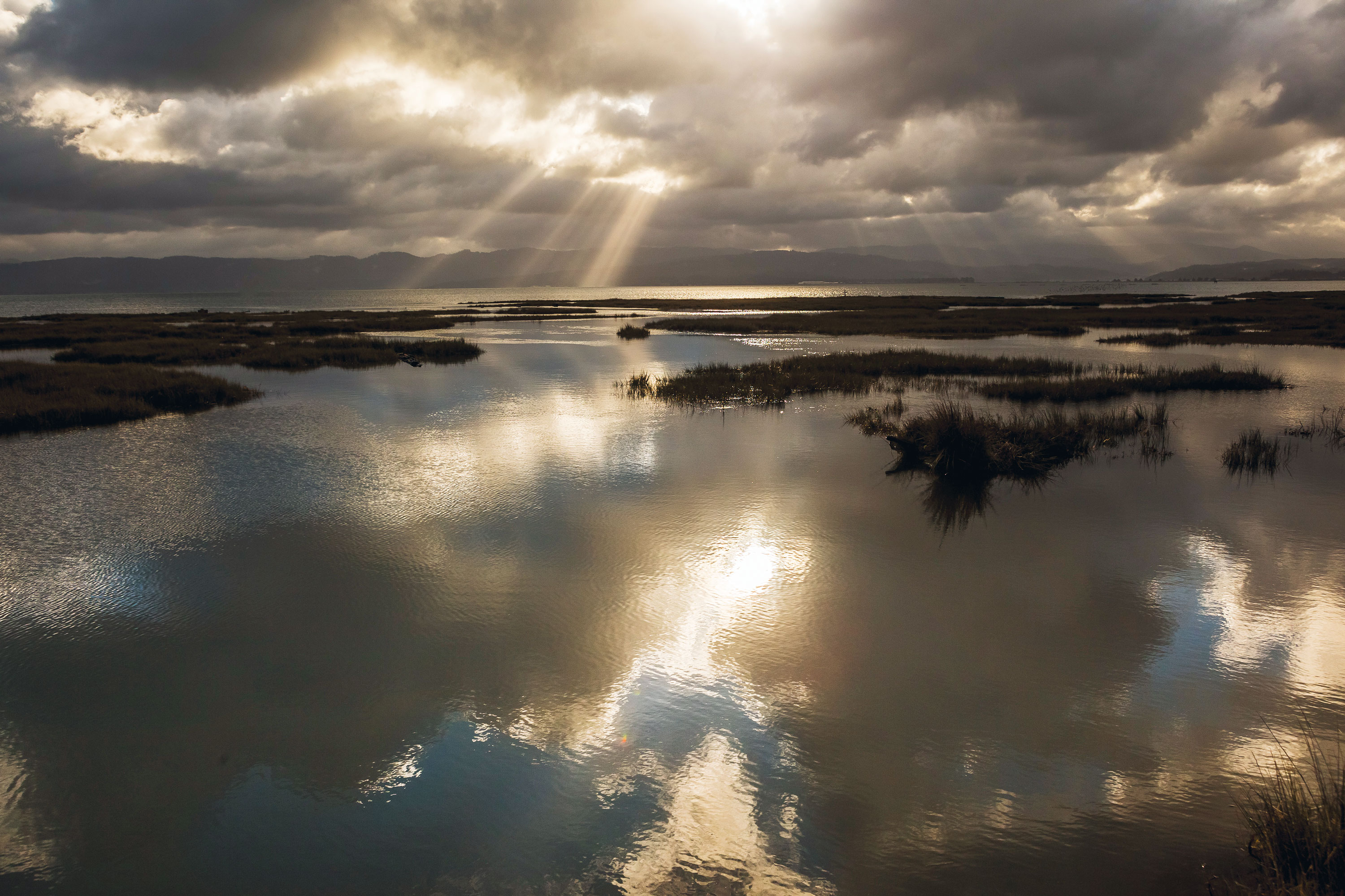 Light shines off water and reflects a cloudy sky.