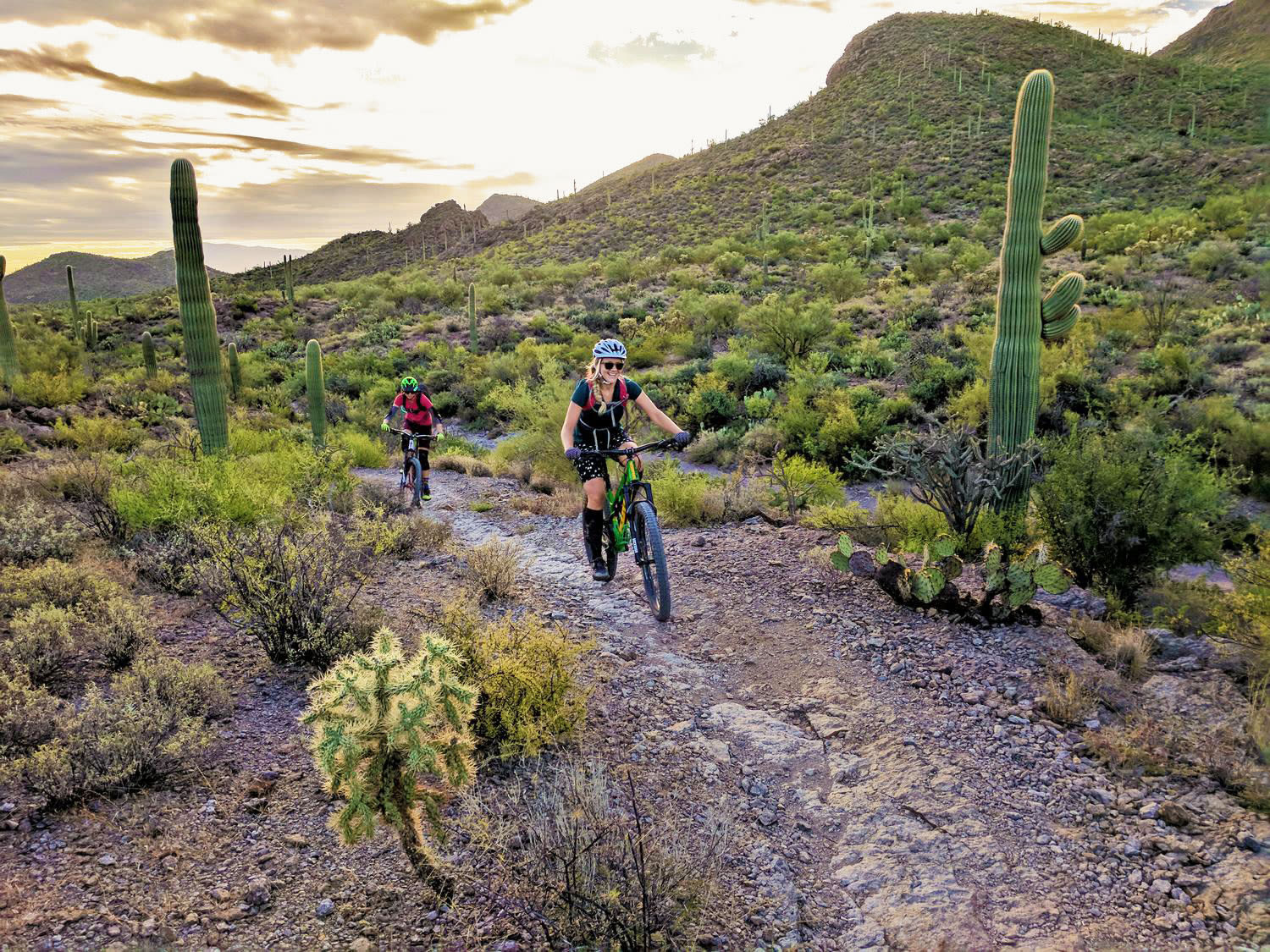 Two mountain bikers ride on the Starr Pass trail in Tucson Mountain Park, Arizona.