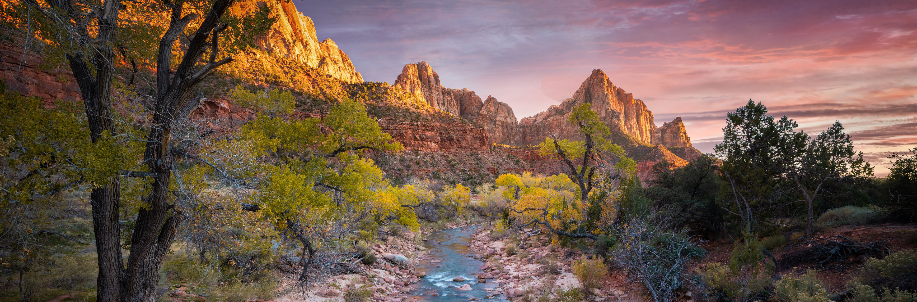 A purple sunset over Zion National Park in Utah.