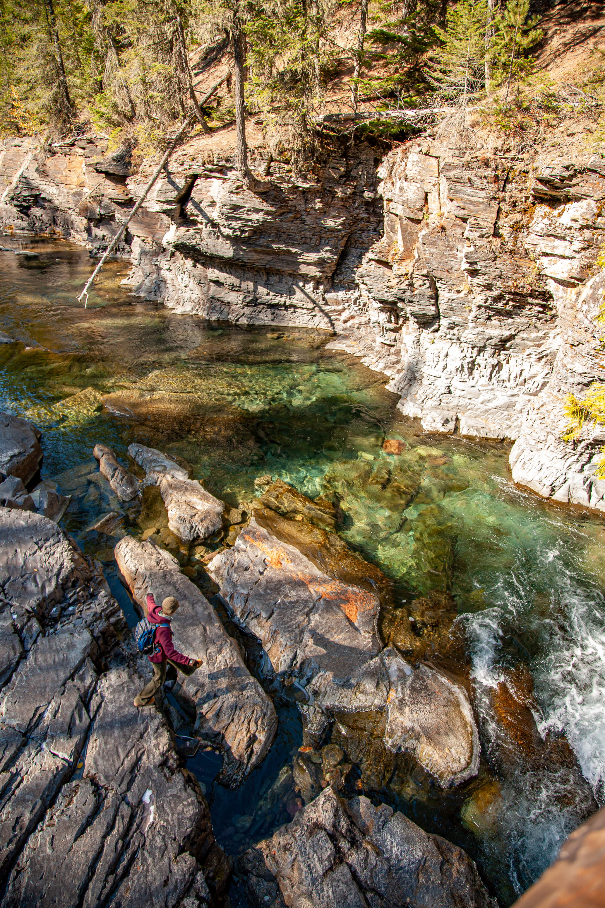 A hiker heads toward the water at Glacier National Park's McDonald Falls.