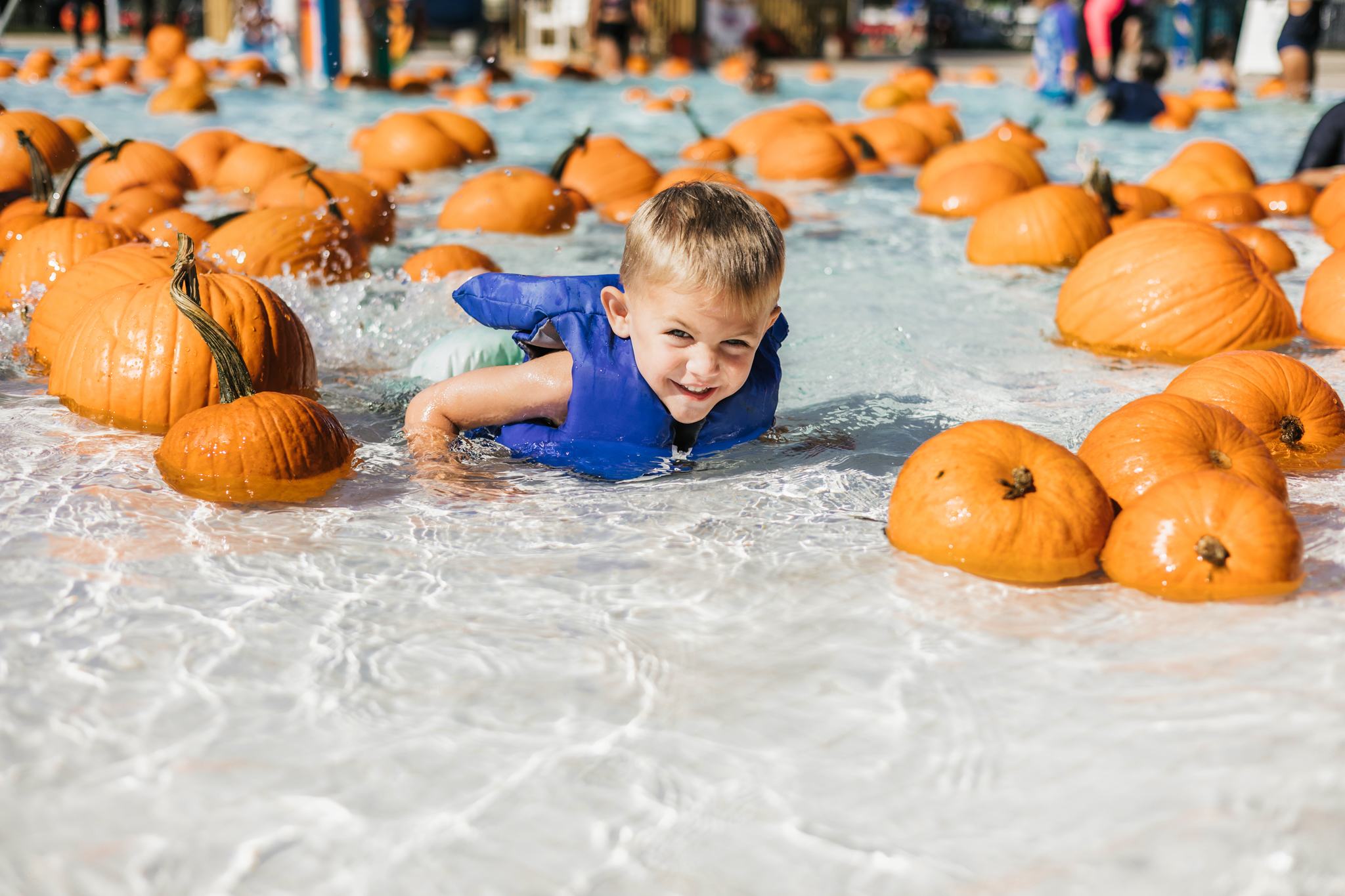 A boy swims through the floating pumpkins in Wackford Aquatic Complex's annual Pool of Pumpkins in Elk Grove, California.