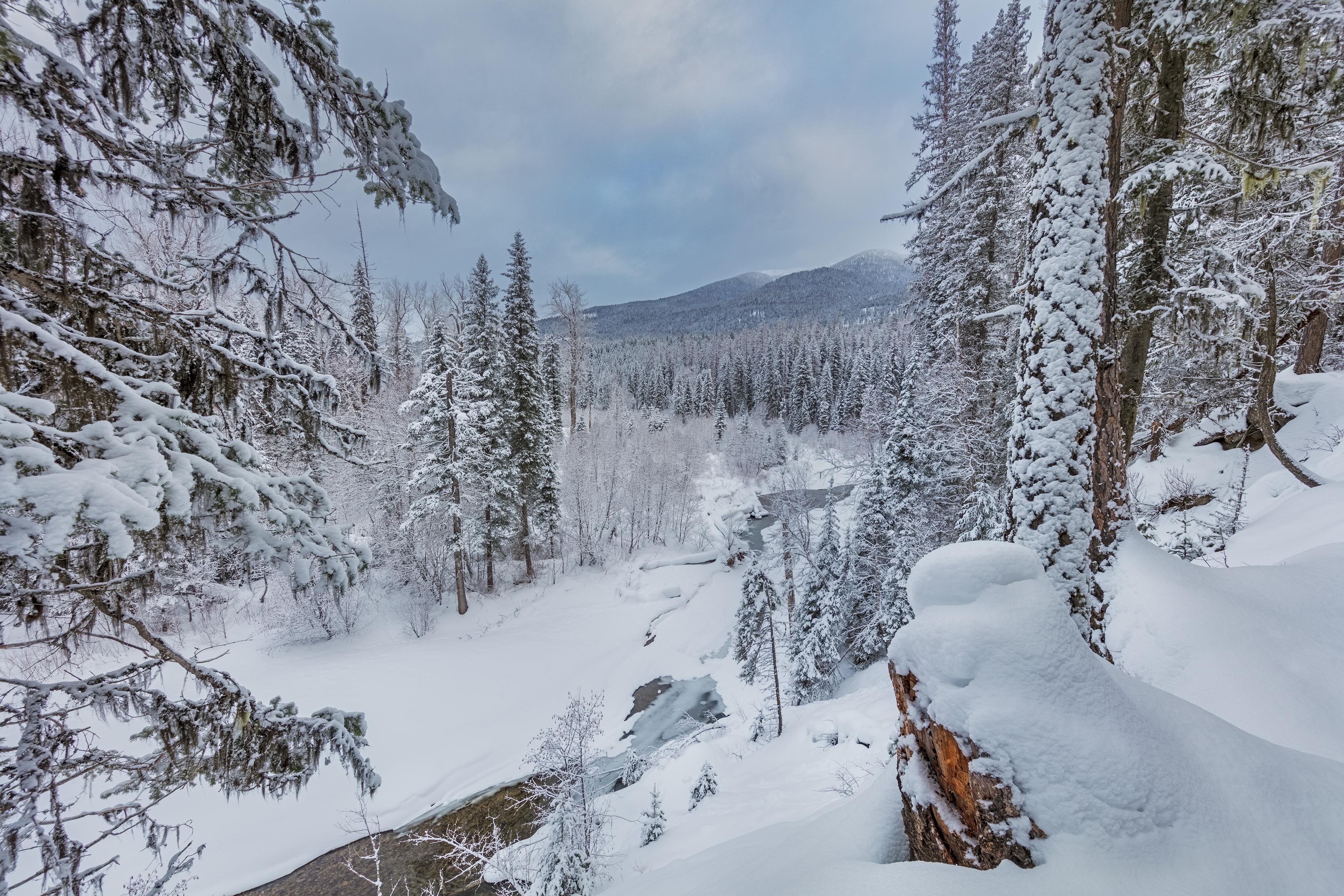 Snow covers Swift Creek in the Stillwater State Forest near Whitefish, Montana.