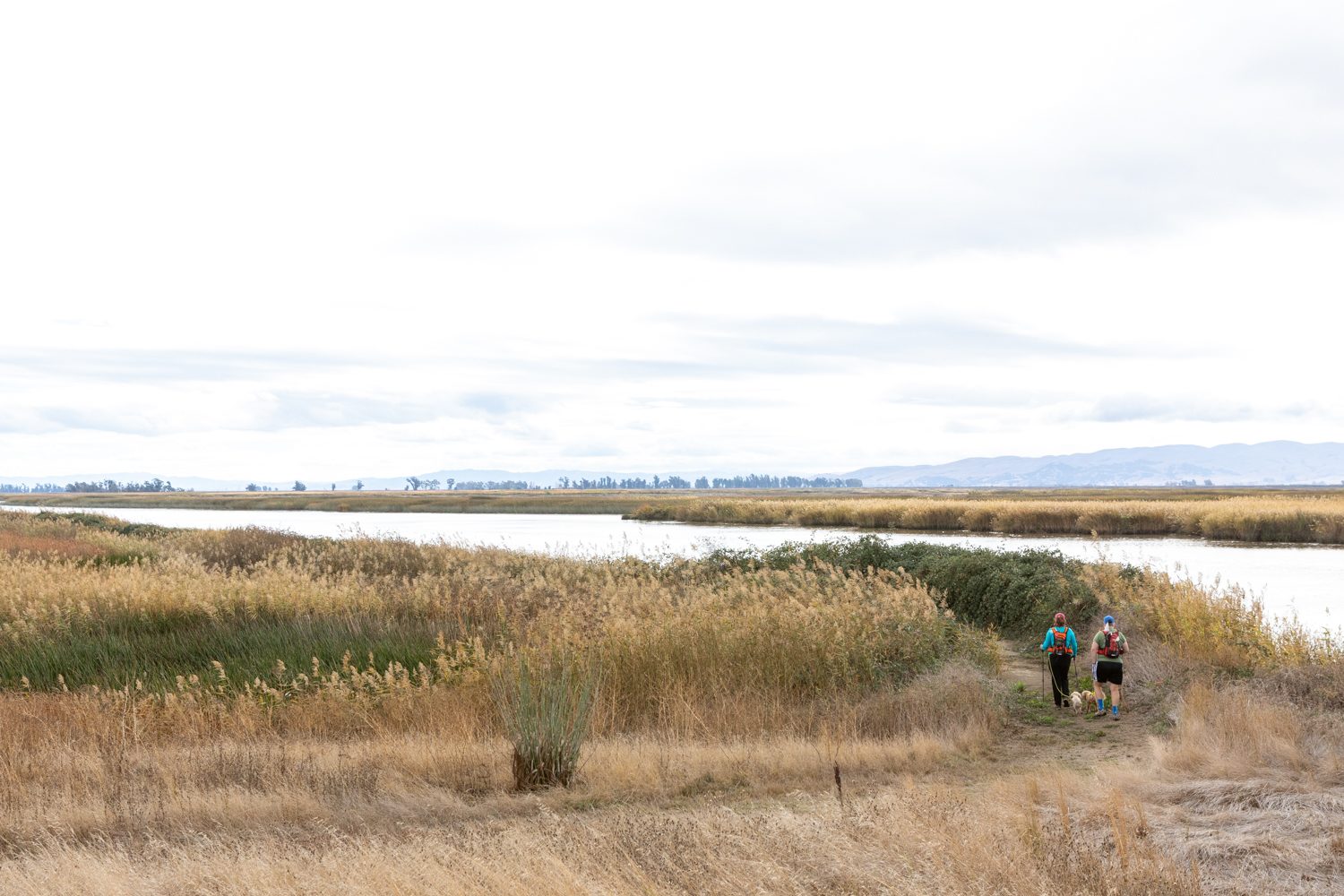 Two people hike in Rush Ranch Open Space with their dogs.