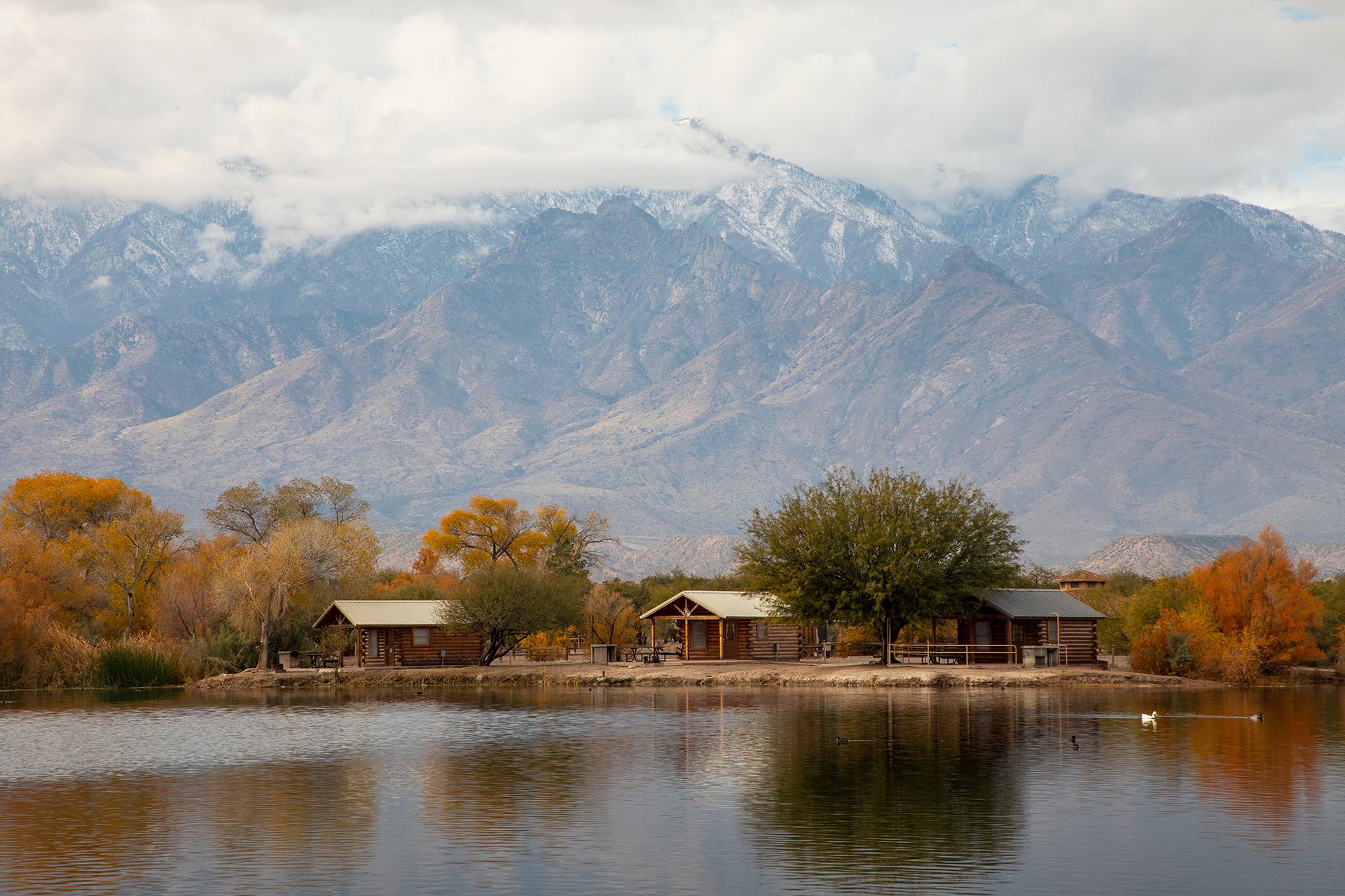 Cottonwood Campground in Roper Lake State Park, Safford, Arizona.