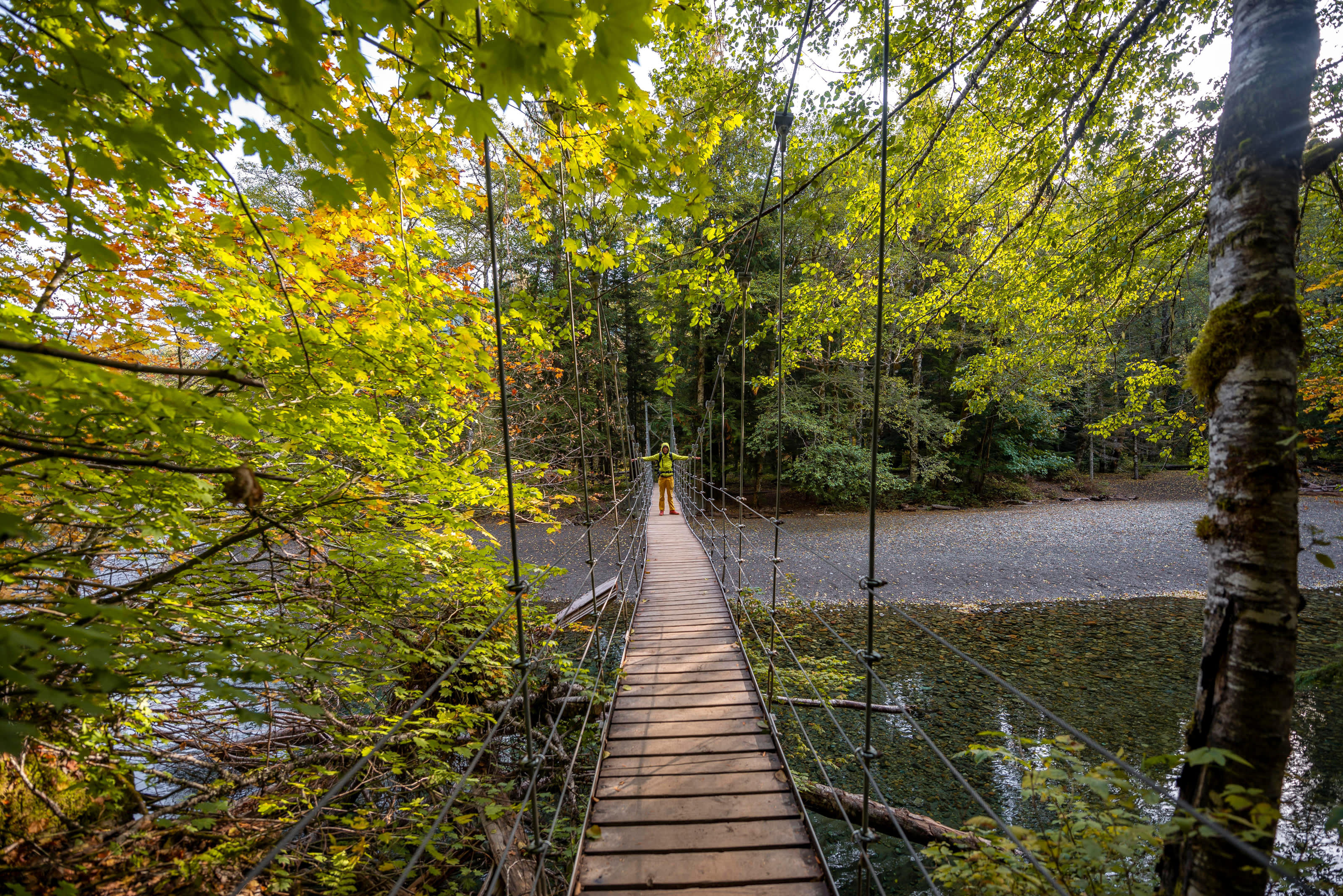 Hiker on a suspension bridge on the Grove of the Patriarchs Trail in Mount Rainier National Park, Washington.