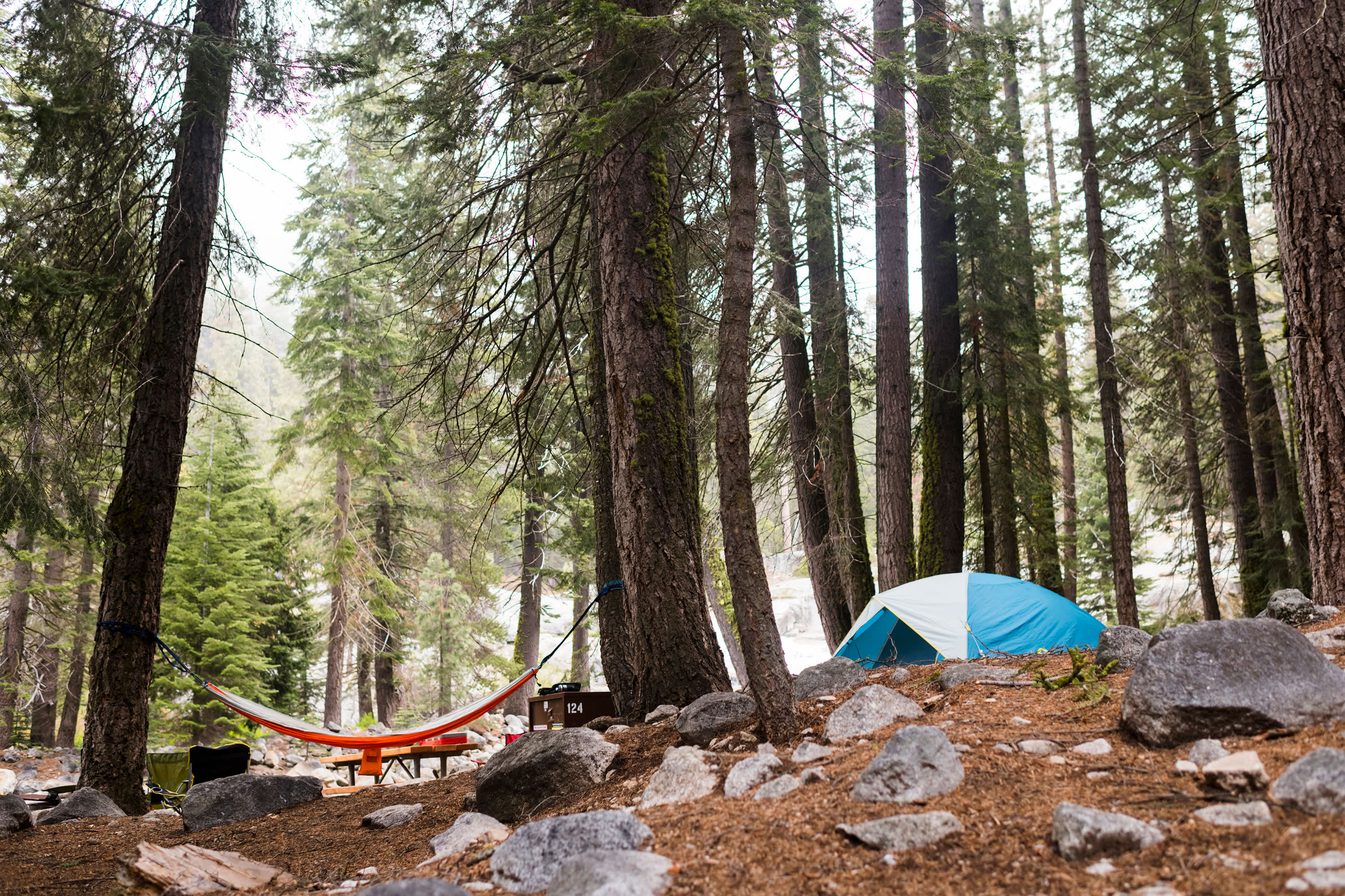 A tent and a hammock set up at a campsite in Kings Canyon National Park.