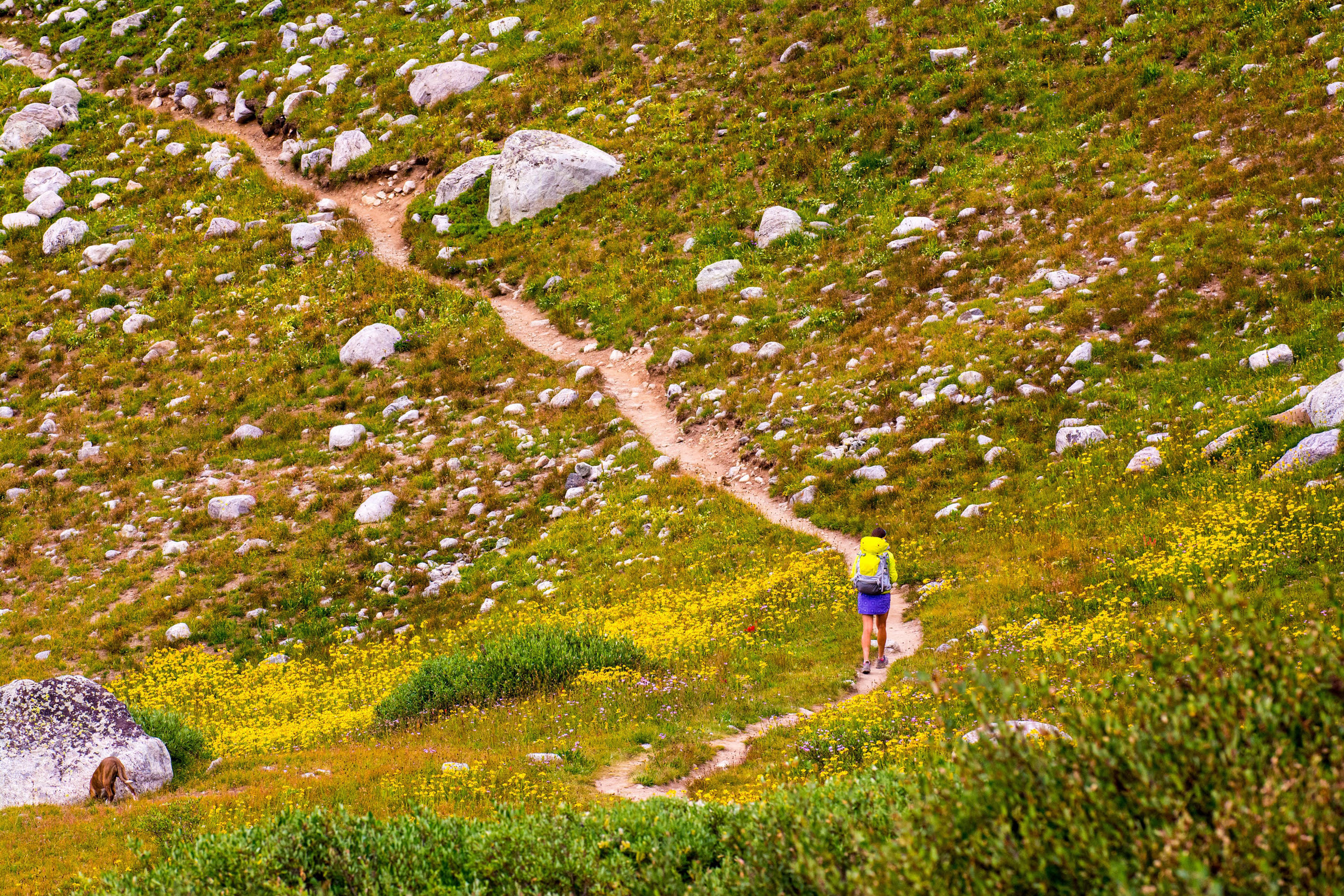 A hiker in Titcomb Basin, Wind River Range, Pinedale, Wyoming.