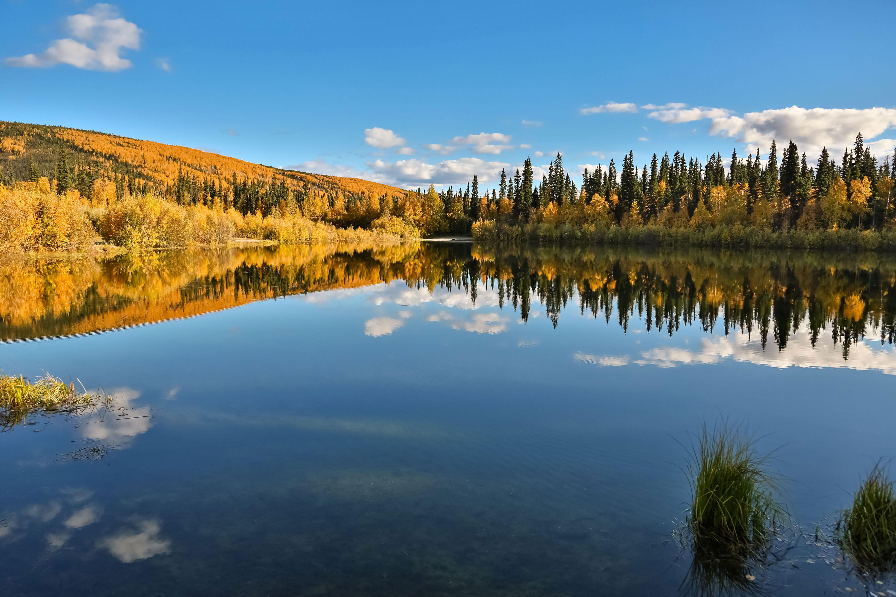 Panoramic view of a clear lake with reflections in fall, Chena River State Park, Alaska