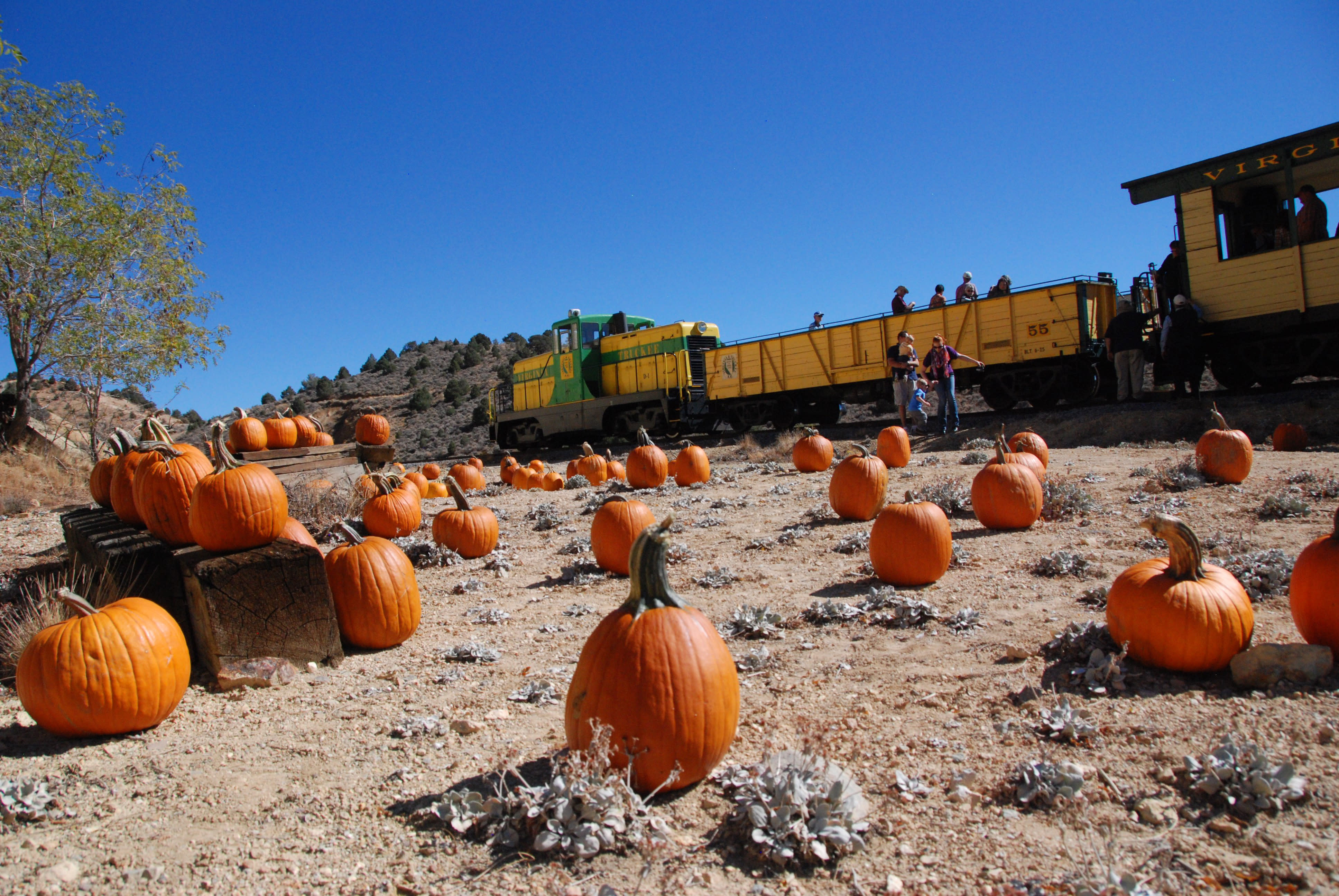 Riders get off the V&T Railroad's Pumpkin Patch Express to select their pumpkin.