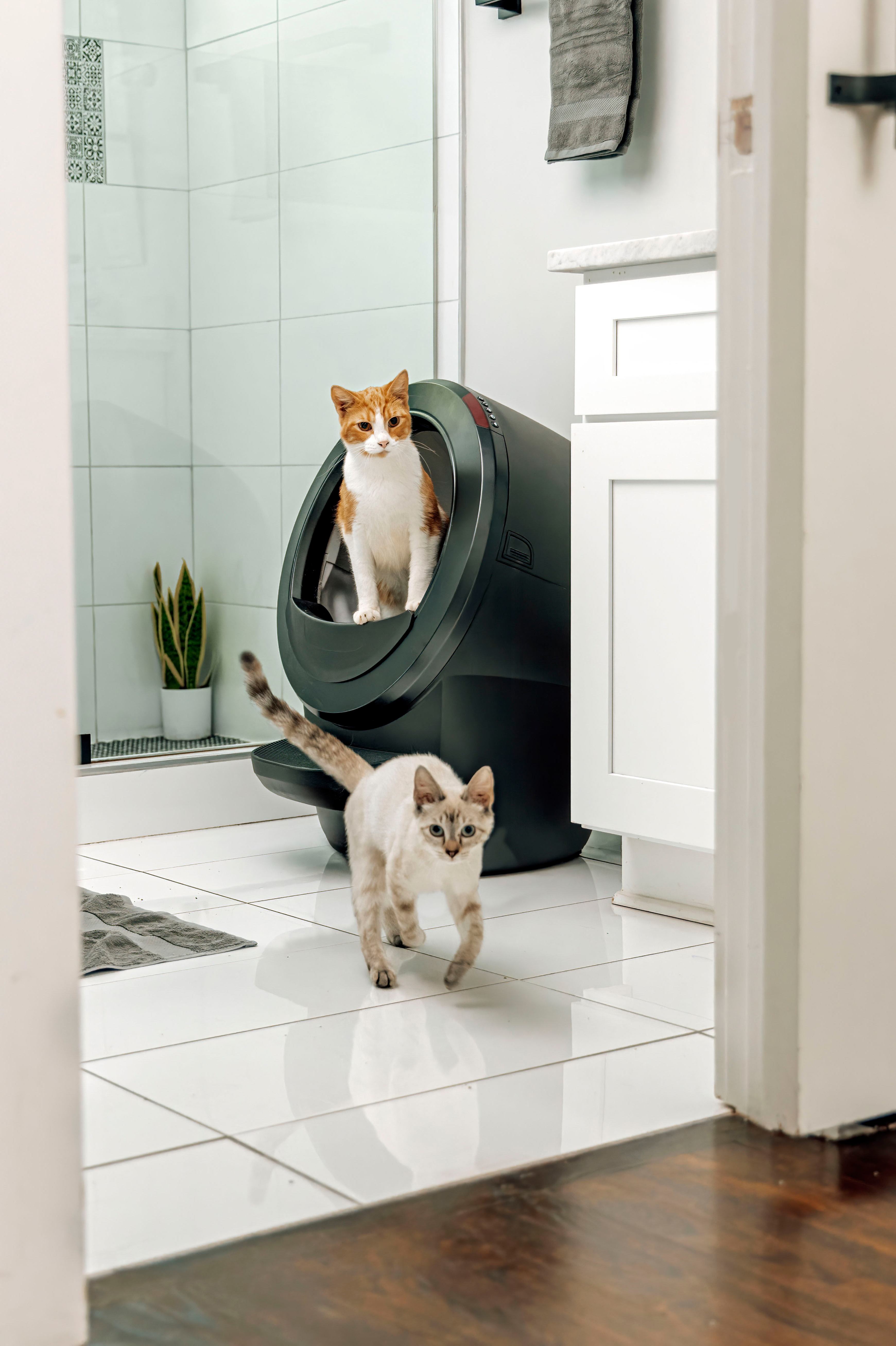 A cat climbs out of the Litter-Robot in a white modern bathroom.