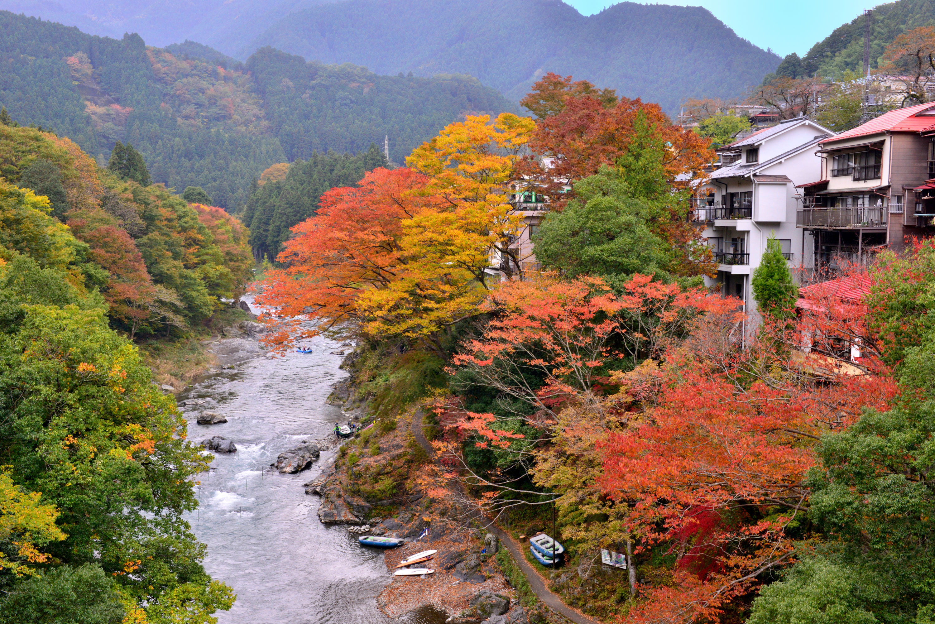 Autumn Foliage of Okutama, Western Suburbs of Tokyo