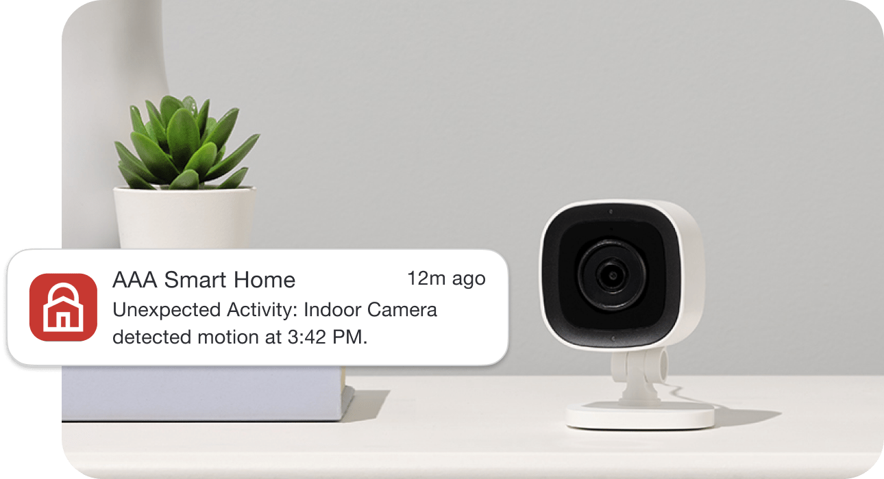 Security camera with app notification